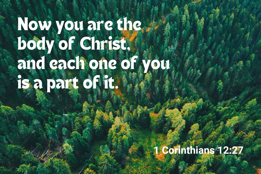 1 Corinthians 12:27